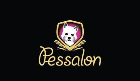 PESSALON, KOPER cover