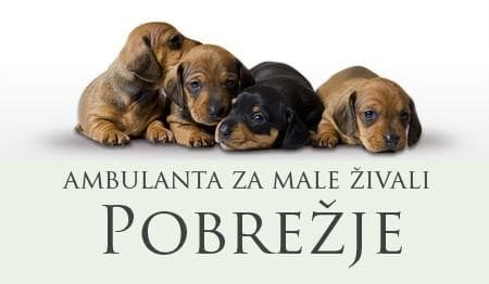 AMBULANTA ZA MALE ŽIVALI POBREŽJE, MARIBOR cover