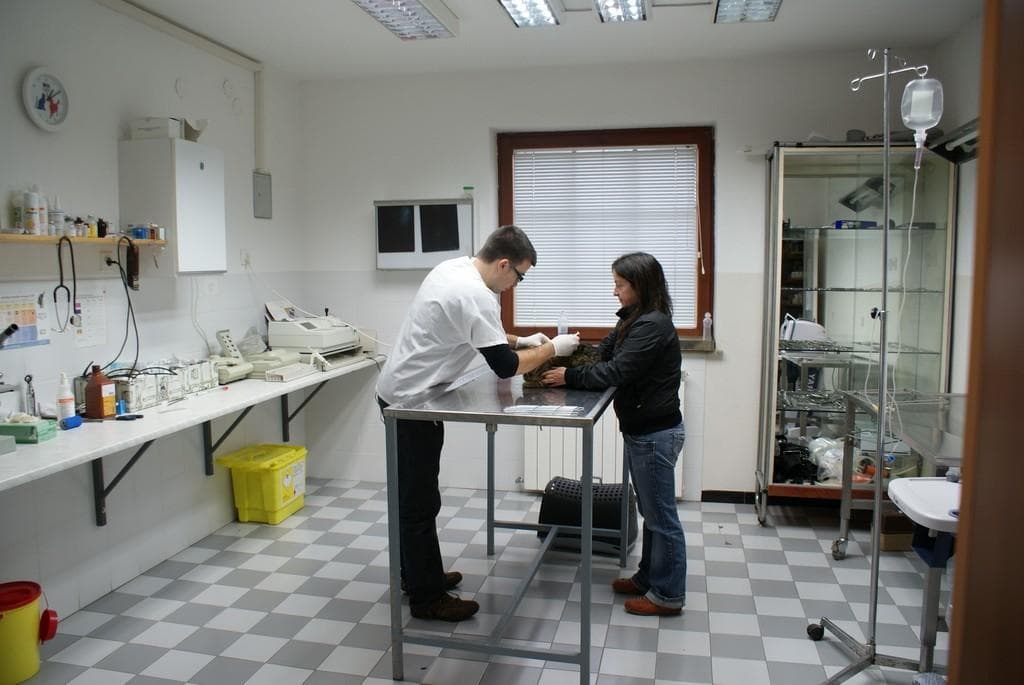 VETERINARSKA AMBULANTA HRPELJE