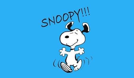 SALON SNOOPY, VERA URBANČIČ, ROGAŠKA SLATINA cover