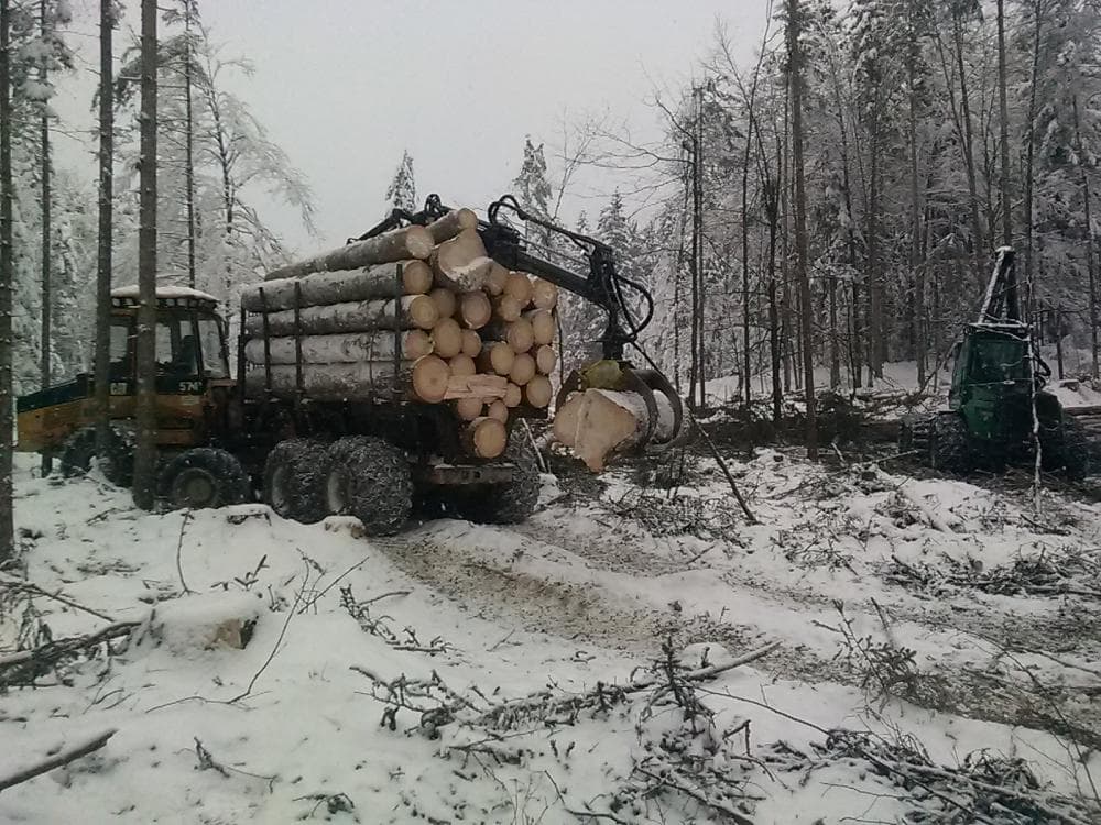 PRODAJA IN ODKUP BUKOVIH DRV BOHINJ
