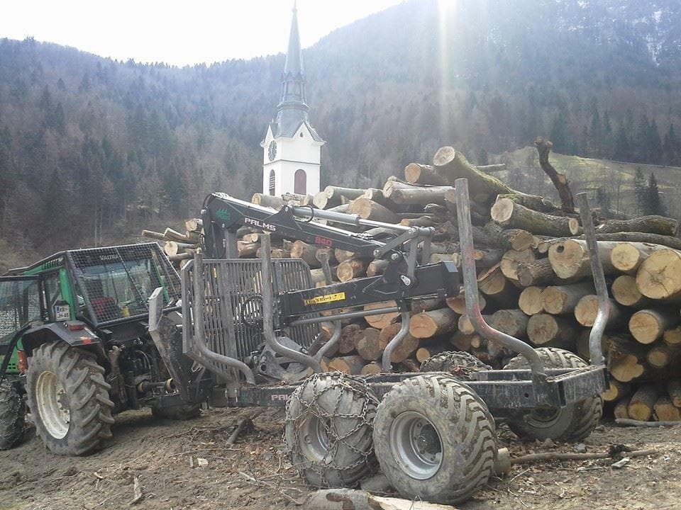 LESNA BIOMASA, SEČNJA IN SPRAVILO LESA, PLANIRANJE GORENJSKA