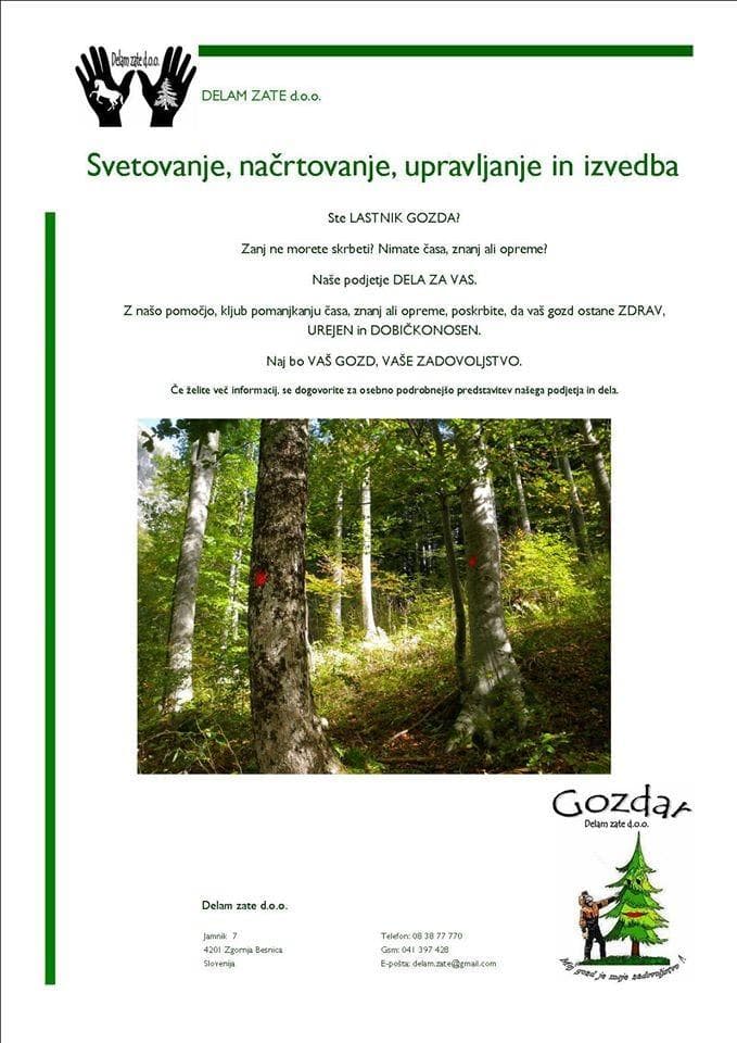 LESNA BIOMASA, SEČNJA IN SPRAVILO LESA, PLANIRANJE GORENJSKA cover