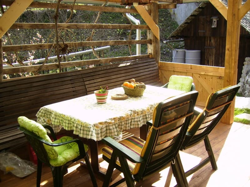 APARTMAJI, ŽAR, GRILL NA TERASI, BLED - BOHINJSKA BELA, TORKAR