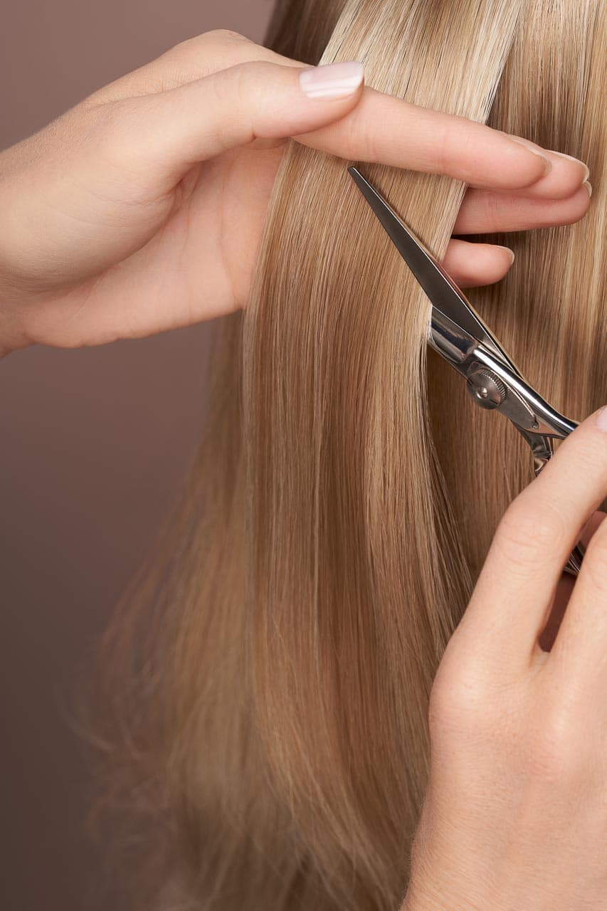 FRIZERSKI SALON LESCE SALON ALENKA cover