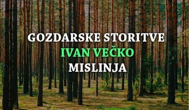 GOZDARSKE STORITVE SLOVENJ GRADEC