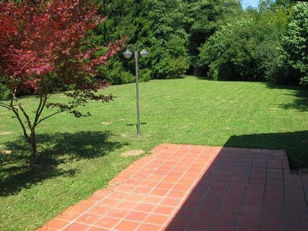 OBREZOVANJE SADNEGA DREVJA, DREVES, ŽIVE MEJE IN GRMIČEVJA
