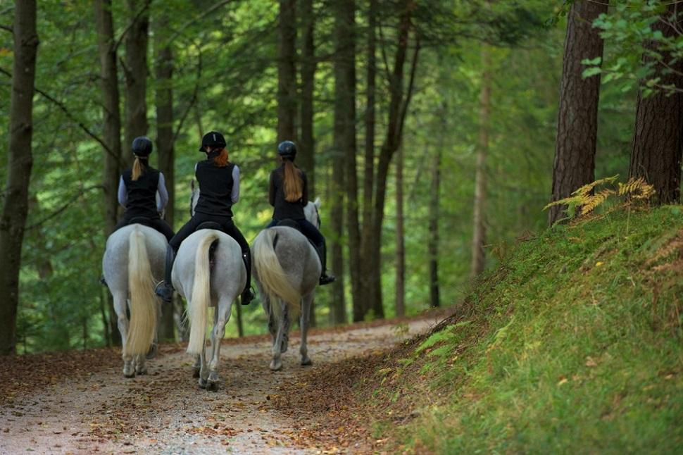 Turistična kmetija pri Marku, Žabnica