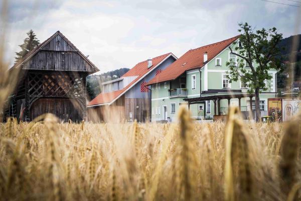 Mladinski center Šmartno ob Paki, kultura, izobraževanje in šport