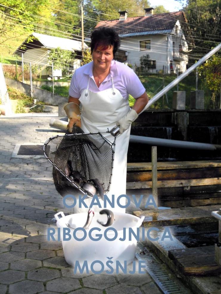 Prodaja svežih rib Radovljica