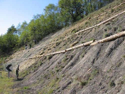 STRUGANJE ASFALTA, FREZANJE ASFALTA, MULČENJE VEJ IN GRMOVJA, PROIZVODNJA IZDELKOV IZ LESA, MAX LES