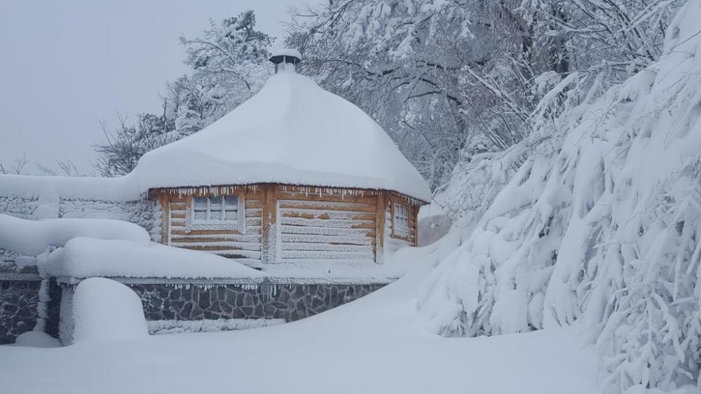 TURISTIČNA KMETIJA APARTMAJI SEŽANA POSTOJNA SENOŽEČE17