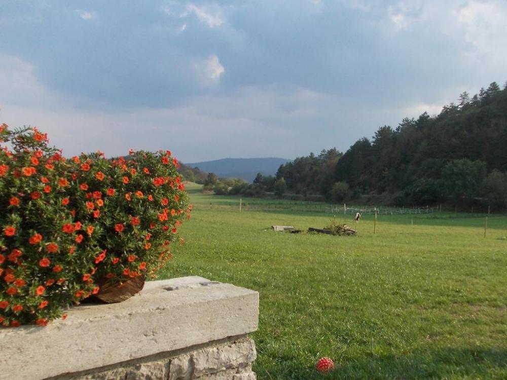 TURISTIČNA KMETIJA APARTMAJI SEŽANA POSTOJNA SENOŽEČE21