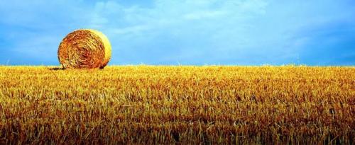 TURISTIČNA KMETIJA MLIN, KOPER