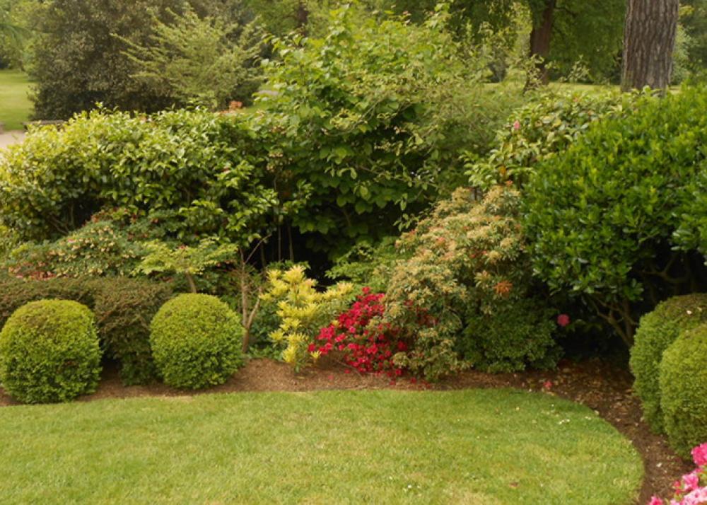 VRTNARSTVO, SADIKE DREVES ŠIMENC, RUDNIK