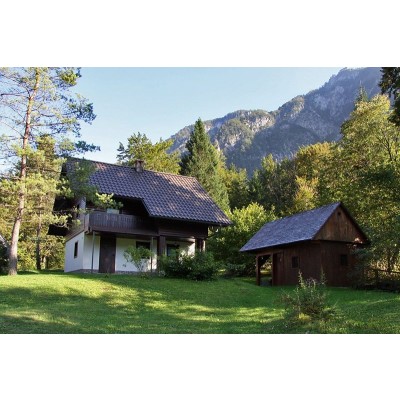 Tourist agency apartmaji Bohinj