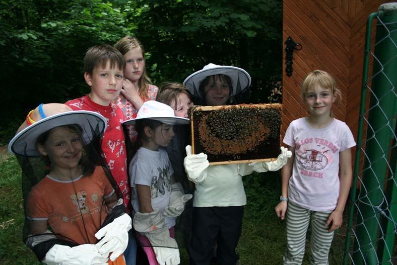 SVEŽI MATIČNI MLEČEK, CVETNI PRAH, PROPOLIS, ČEBELJI VOSEK, PRODAJA MEDU LESCE, ČEBELARSTVO KOZINC16