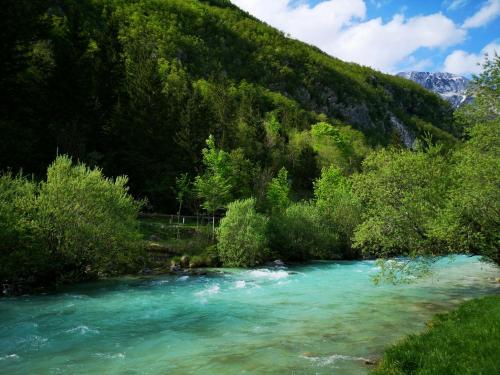 TURISTIČNA KMETIJA JELINČIČ, KAMP JELINC SOČA