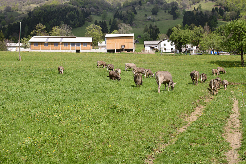 Turistična Ekološka kmetija Tolmin