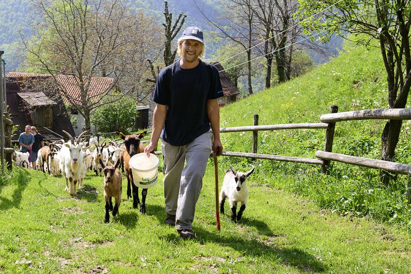 Turistična Ekološka kmetija Tolmin