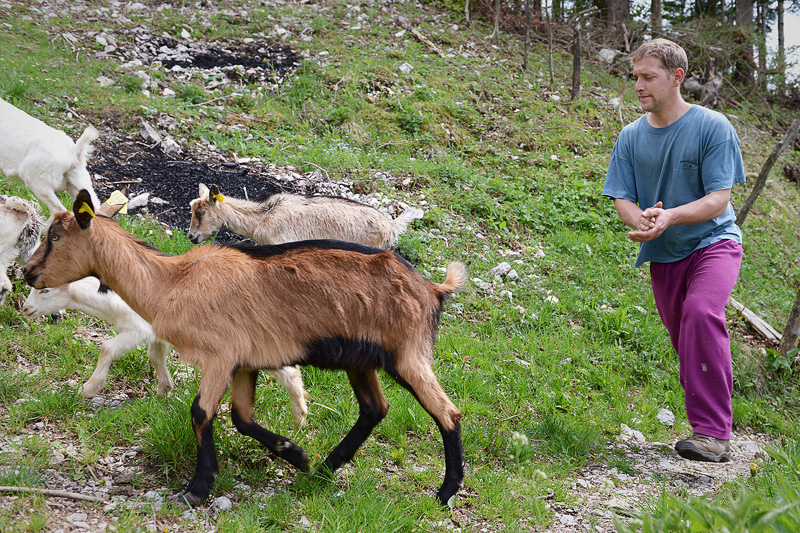 Turistična Ekološka kmetija Tolmin