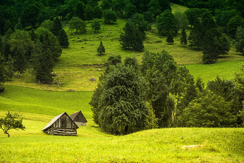 Turistična Ekološka kmetija Tolmin
