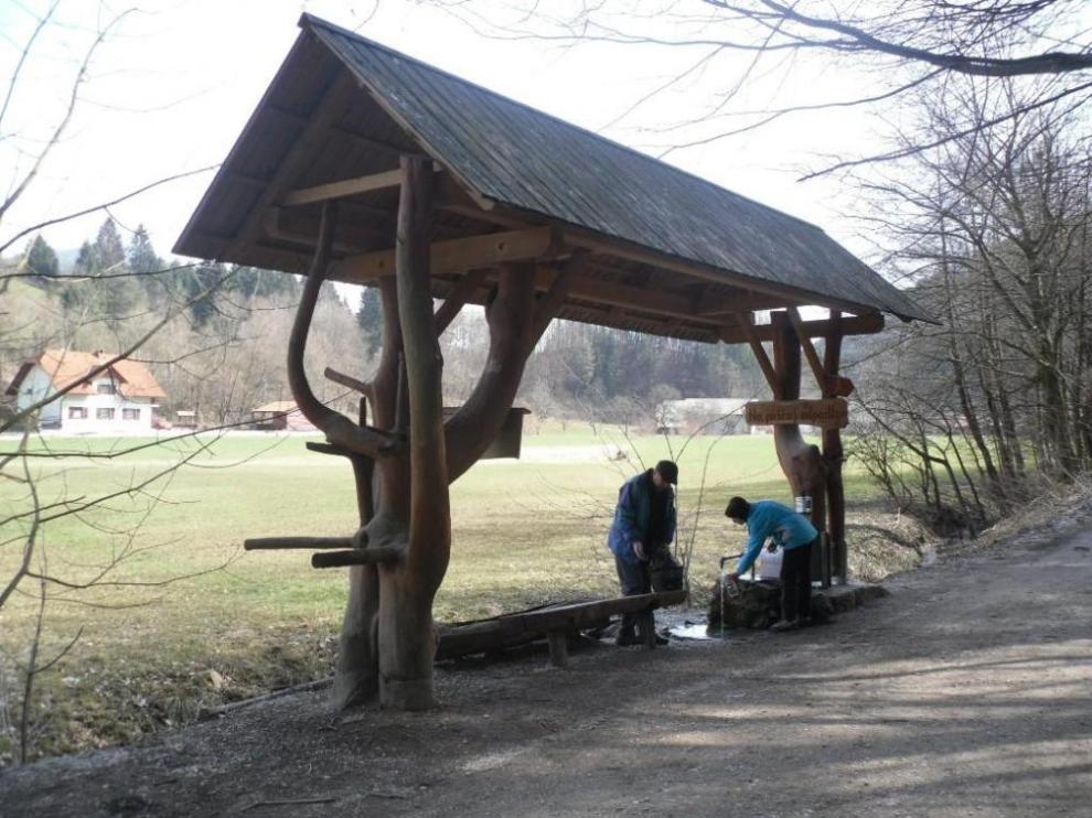 Apartmaji Kamnik Hribar