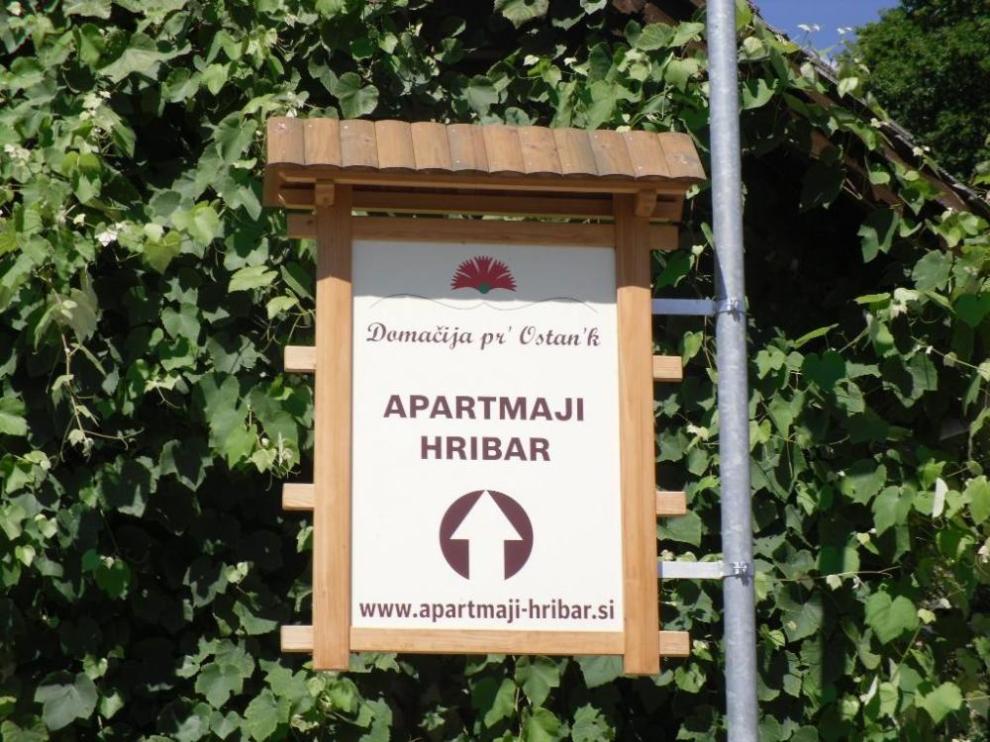 Apartmaji Kamnik Hribar