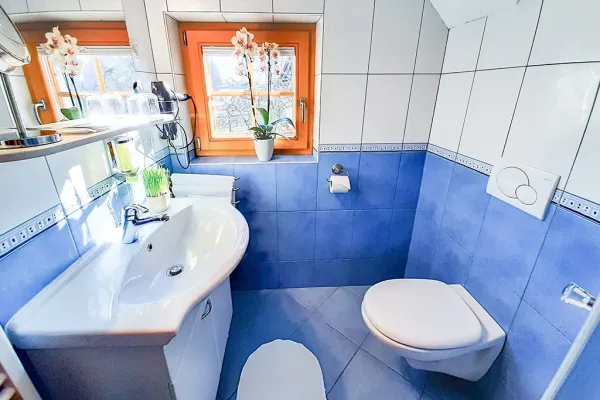 Turizem loka, apartmaji, sobe, wellness, škofja loka 