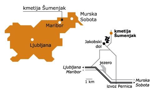 Sauvignon-Chardonnay-Renski rizling- Alter- Modri pinot- Kerner & Renski rizling- Rumeni muškat