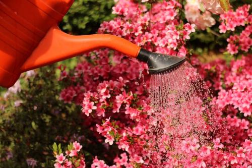 VRTNARSTVO CVETLIČARSTVO VODICE 