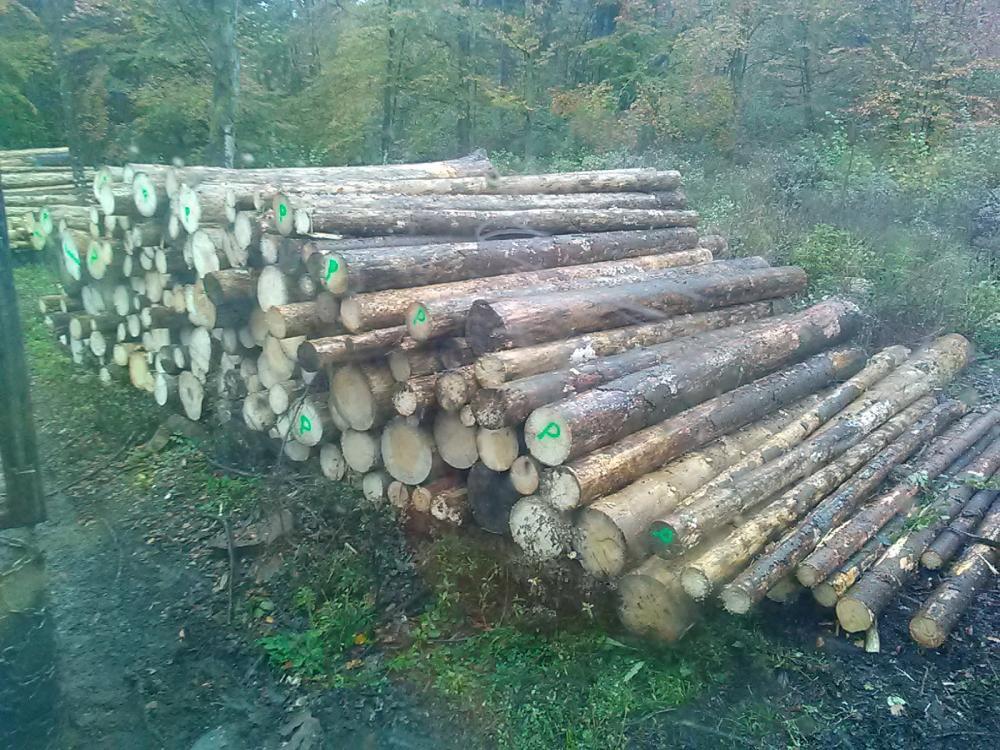 PRODAJA IN ODKUP BUKOVIH DRV BOHINJ