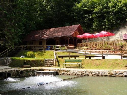 KAMP STESKA, ŠPORTNI RIBOLOV, PRODAJA SVEŽIH RIB