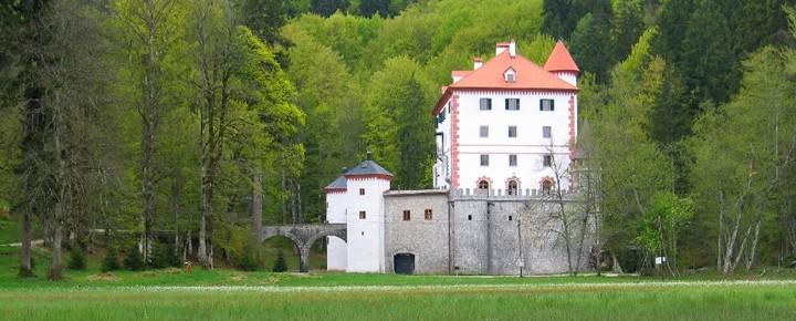 Javni zavod Snežnik