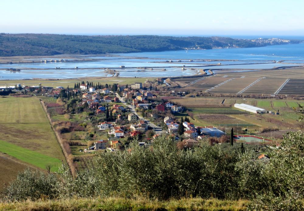 Apartmaji in sobe Vožič, Sečovlje