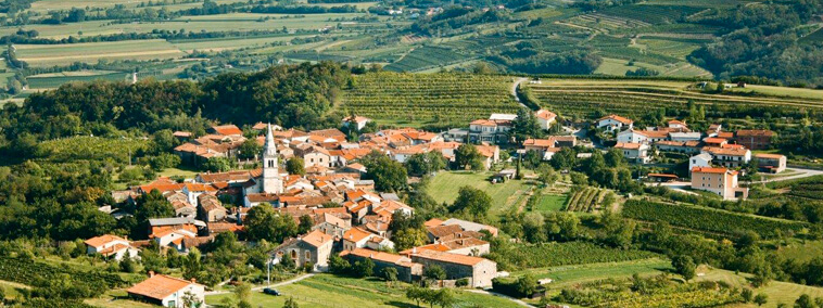 APARTMAJI Z ZAJTRKOM VIPAVA, KOREN