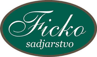 DOMAČE MARMELADE, ŽGANJE, LIKERJI, BUČNO OLJE, JABOLČNI IN VINSKI KIS, SADJARSTVO FICKO, ROGAŠOVCI
