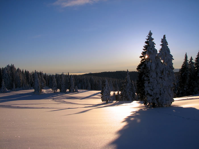 APARTMAJI ROGLA GABER, ROGLA 24