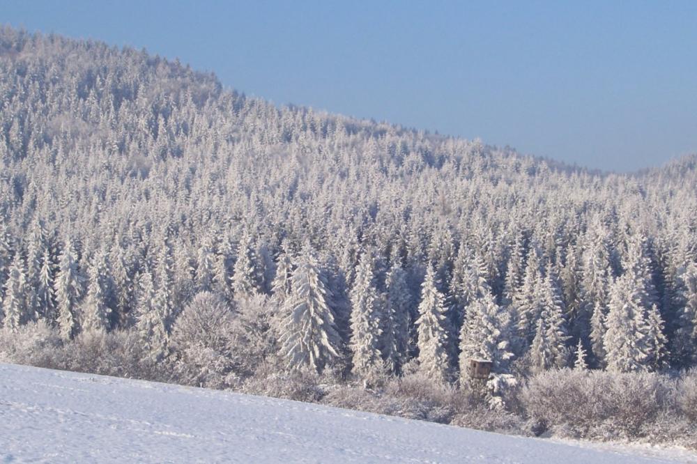 HOTEL BOKA, SRPENICA 8