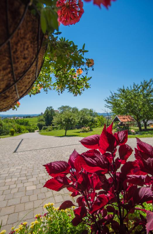 Sobe Ptuj, Prenočišča Panorama