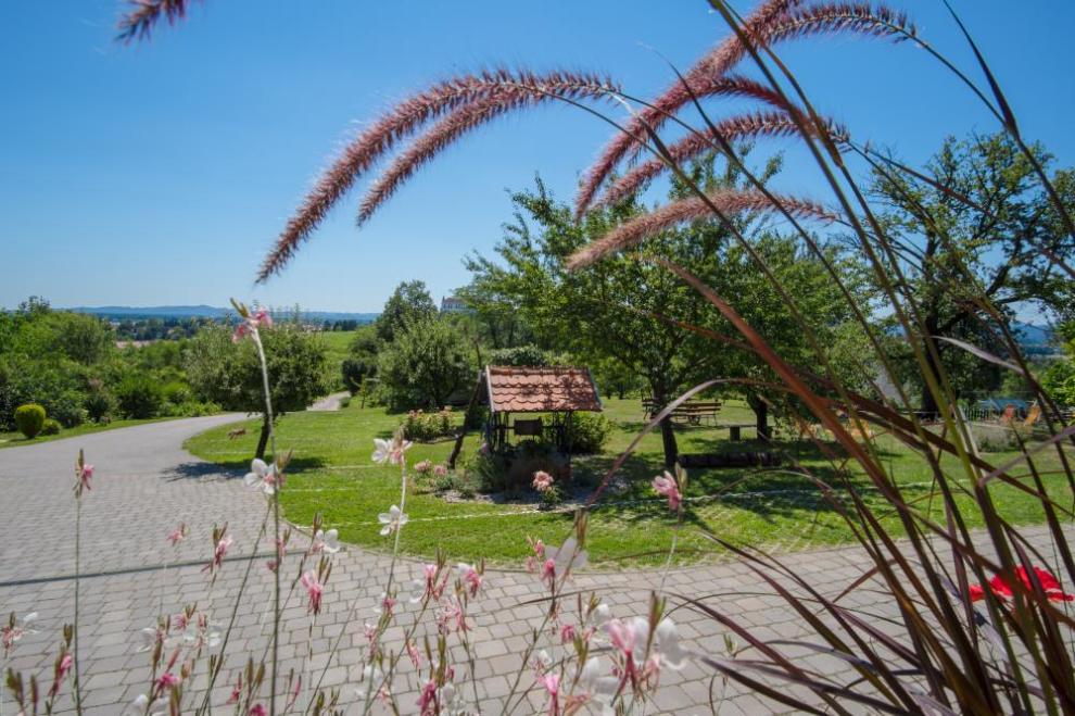 Sobe Ptuj, Prenočišča Panorama