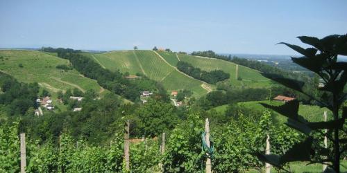 TURISTIČNA KMETIJA JUREŠ, LJUTOMER