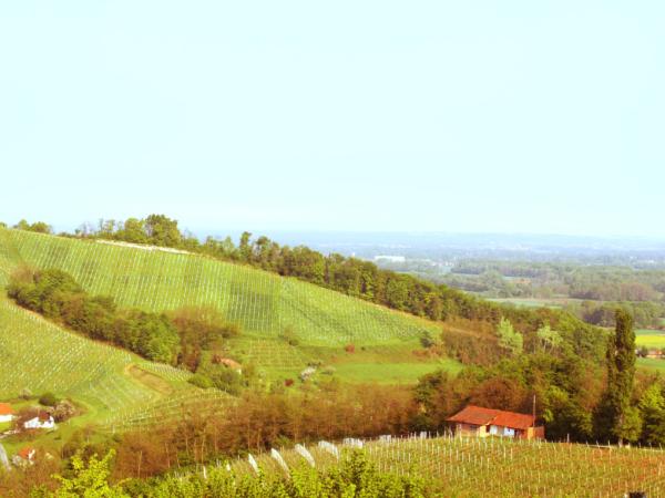 Turistična kmetija jureš, ljutomer