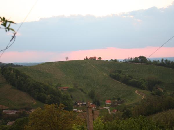 Turistična kmetija jureš, ljutomer