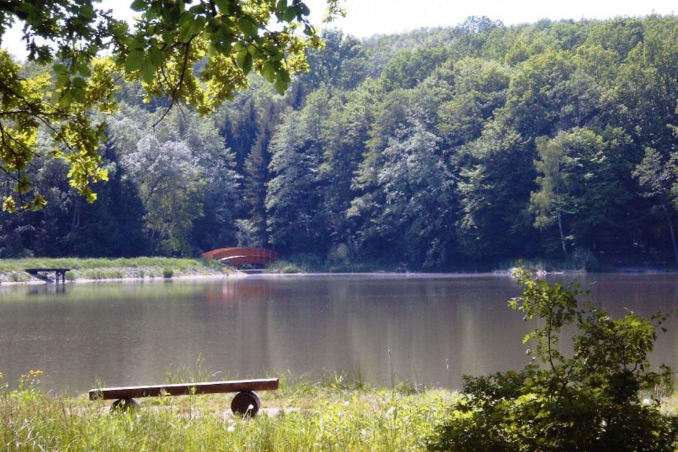 Kolesarske poti za družine Moravske Toplice