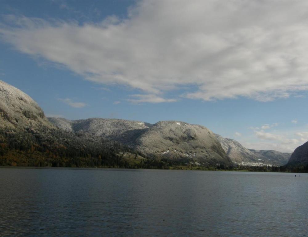 Apartmaji Bohinjsko jezero, Bohinj