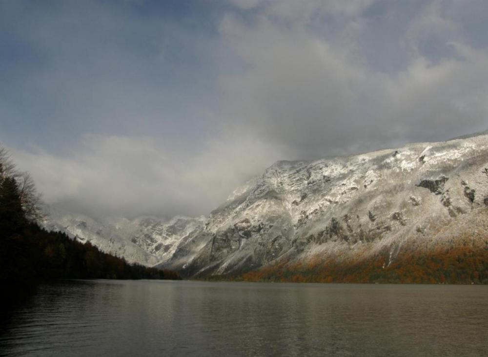 Apartmaji Bohinjsko jezero, Bohinj