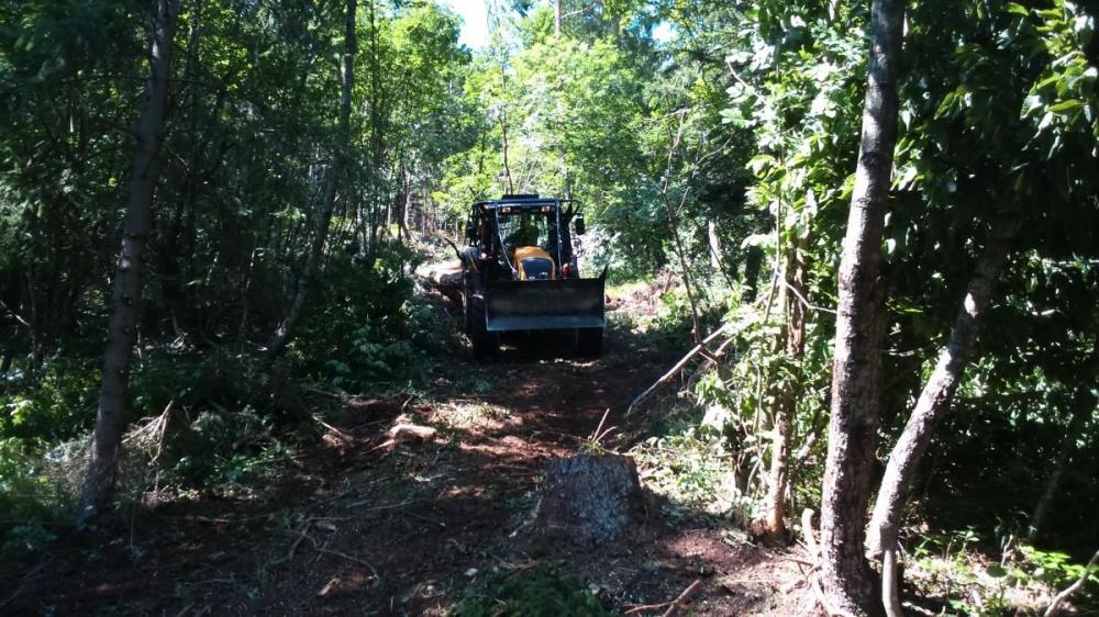 STORITVE V GOZDARSTVU