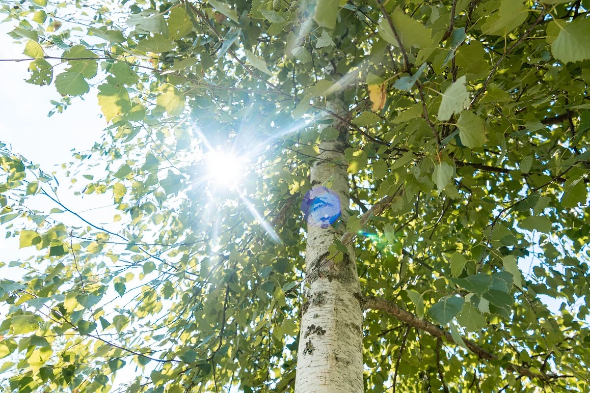 Apartmaji Zeleni Jurij, Turistična kmetija