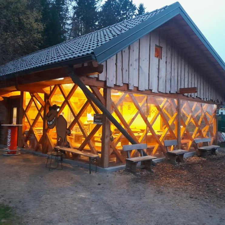 Freizeit in Slowenien Aktivitäten mit Kindern zoo für Kindern